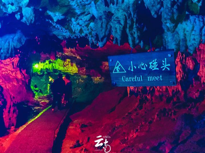 逃离外星人森林