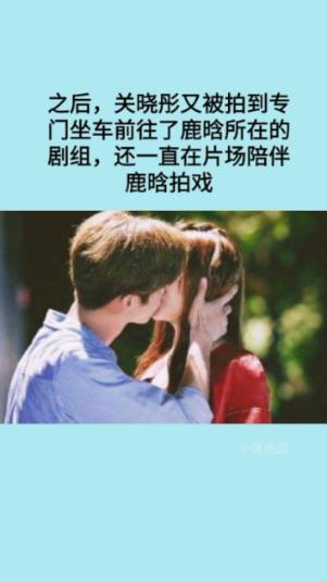 动物拼一拼