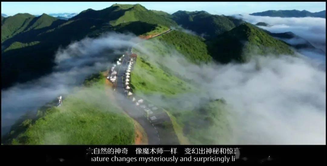 五十岁老人买什么保险好?-全新知识问答网页,解答你的疑惑